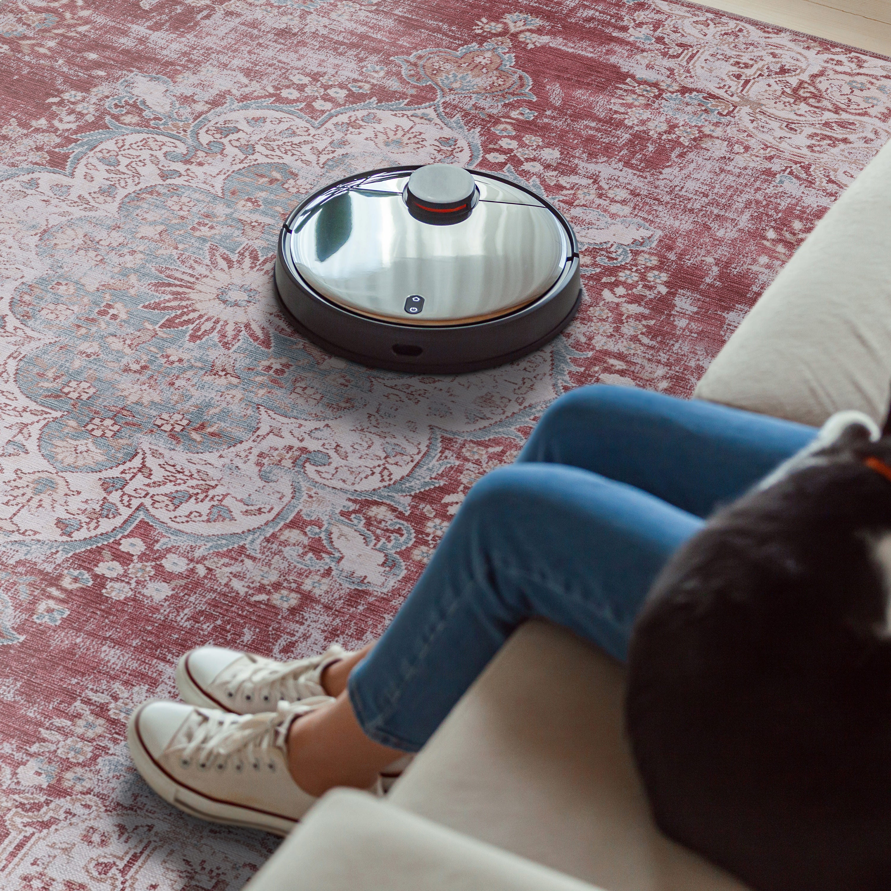 Distressed Indoor Area Rugs Rust Red